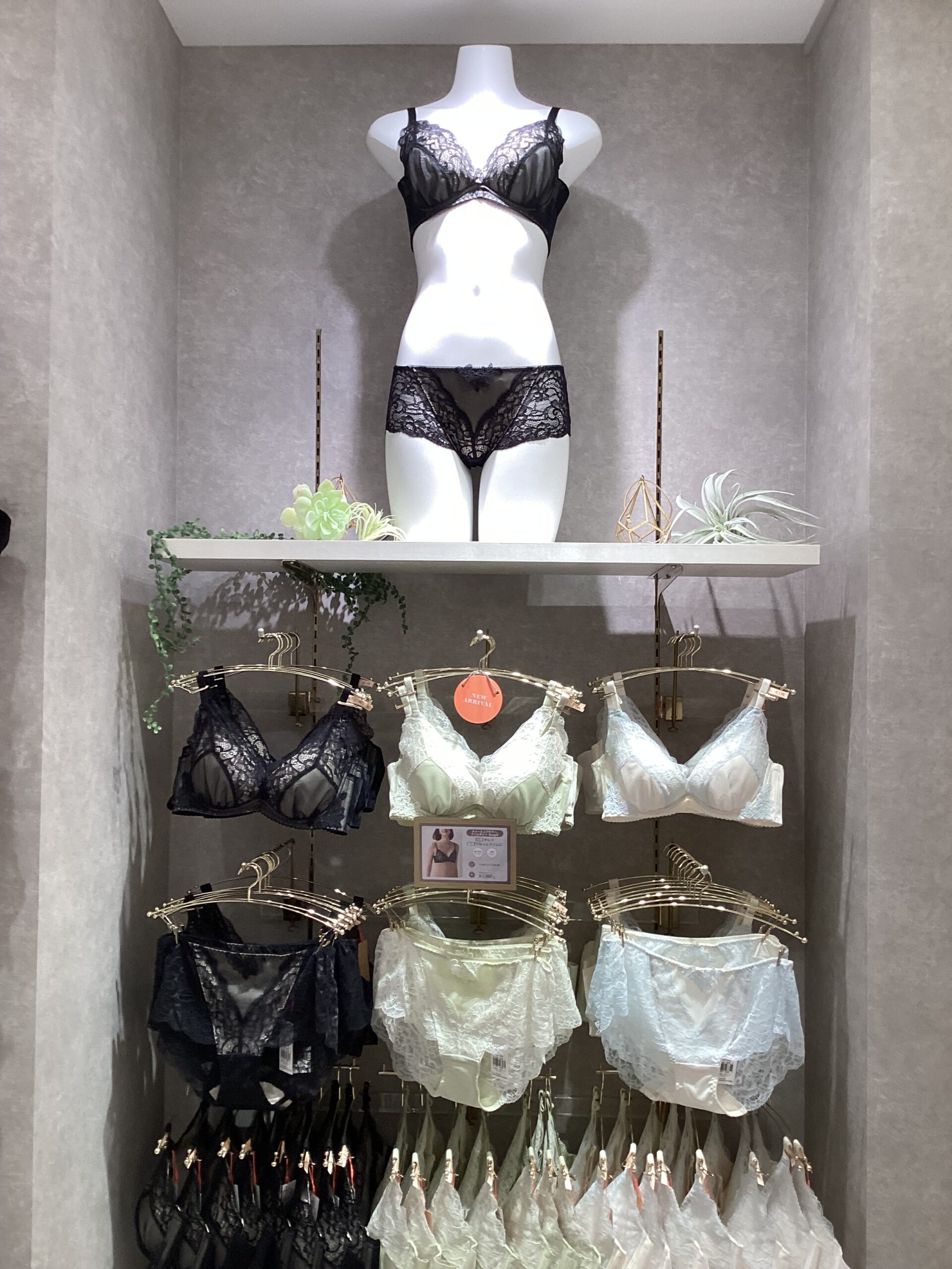 ♡新作入荷のご案内♡