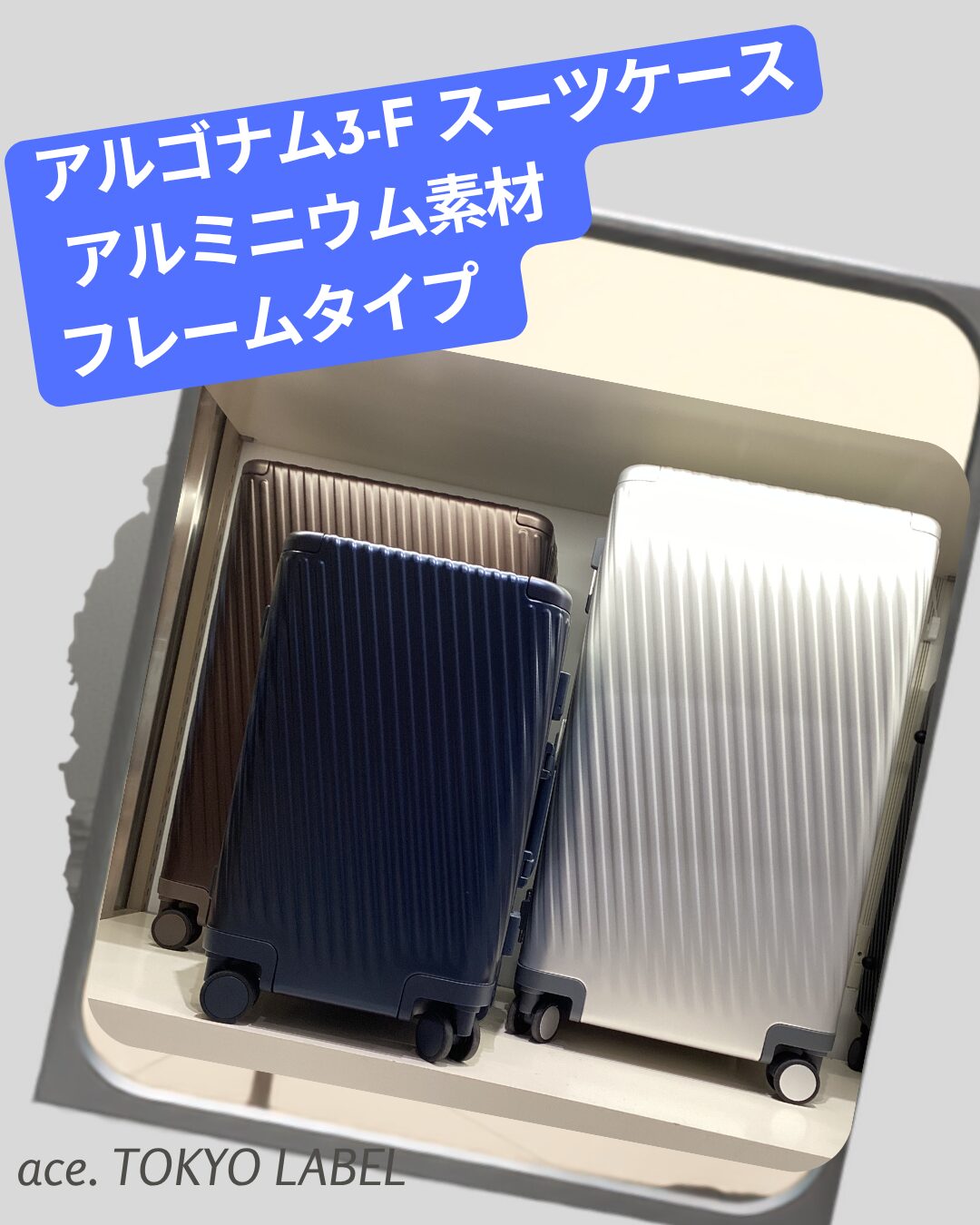 アルゴナム3-F スーツケース
